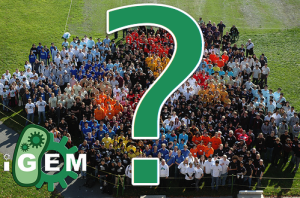 How can amateurs participate in iGEM? -