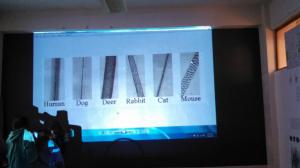 CCKuQpfWYAAr5re.jpg large